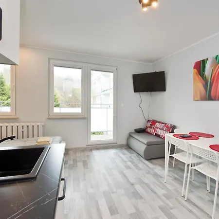 Yourapart Norwida Appartement *